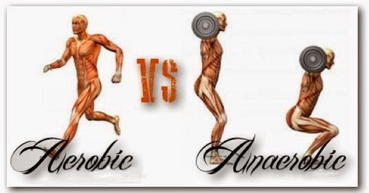 anaerobic-vs-aerobic