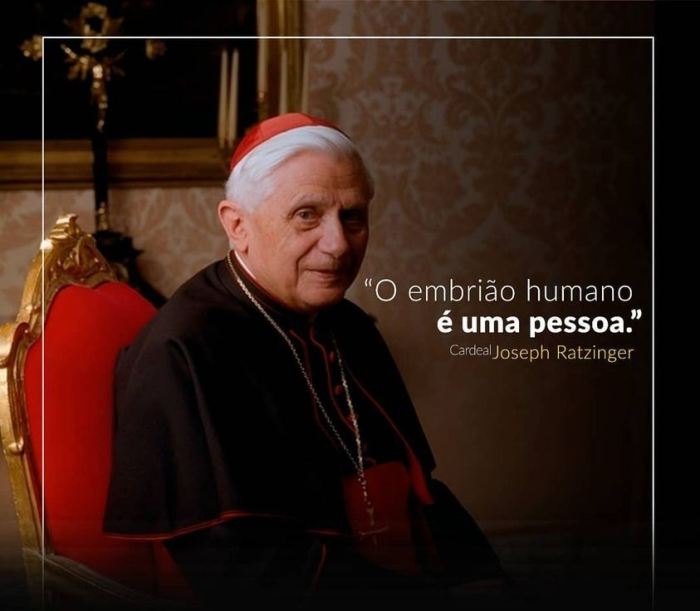 Imagem com citação de Cardeal Ratzinger 